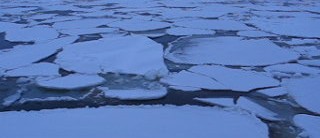 Pancake ice Bering Sea 2007